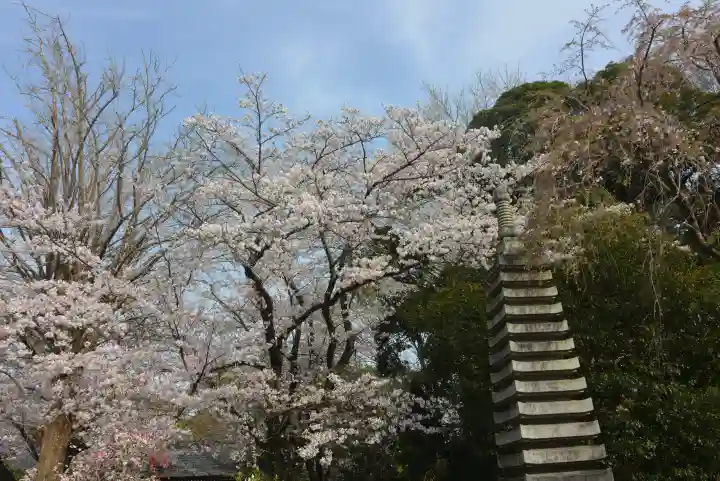金蔵寺(千葉県)