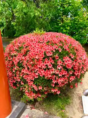 諏訪神社(宮城県)