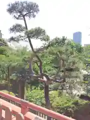 清水観音堂の庭園