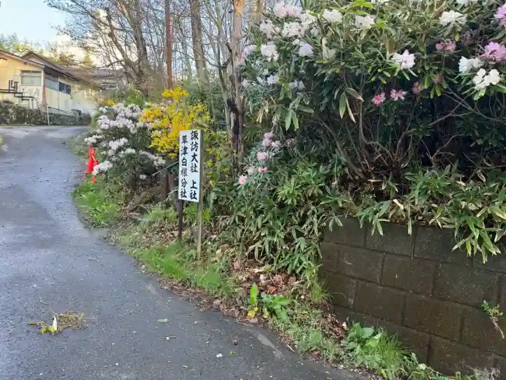 白根神社の{uncategorized: "未分類", other: "その他", undefined: "問題あり", building: "その他建物", grave: "お墓", sacred_gate: "鳥居", guardian: "狛犬", statue: "像", buddha: "仏像", history: "歴史", nature: "自然", garden: "庭園", animal: "動物", pagoda: "塔", temizu: "手水舎", mountain_gate: "山門・神門", sanctuary: "本殿・本堂", subordinate: "末社・摂社", art: "芸術", scenery: "景色", jizo: "地蔵", ema: "絵馬", goshuin: "御朱印", omikuji: "おみくじ", items: "授与品その他", amulet: "お守り", goshuincho: "御朱印帳", eats: "食事", festival: "お祭り", votive_dance: "神楽", shichigosan: "七五三参", wedding: "結婚式", experience: "体験その他", initially: "初詣", around: "周辺", anti_infection: "感染症対策"}
