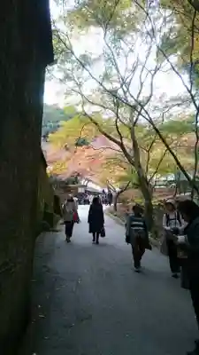 南禅寺の周辺
