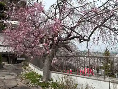 不動寺(大阪府)