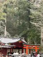 九頭龍神社新宮の{uncategorized: "未分類", other: "その他", undefined: "問題あり", building: "その他建物", grave: "お墓", sacred_gate: "鳥居", guardian: "狛犬", statue: "像", buddha: "仏像", history: "歴史", nature: "自然", garden: "庭園", animal: "動物", pagoda: "塔", temizu: "手水舎", mountain_gate: "山門・神門", sanctuary: "本殿・本堂", subordinate: "末社・摂社", art: "芸術", scenery: "景色", jizo: "地蔵", ema: "絵馬", goshuin: "御朱印", omikuji: "おみくじ", items: "授与品その他", amulet: "お守り", goshuincho: "御朱印帳", eats: "食事", festival: "お祭り", votive_dance: "神楽", shichigosan: "七五三参", wedding: "結婚式", experience: "体験その他", initially: "初詣", around: "周辺", anti_infection: "感染症対策"}
