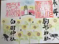 大判　駒形神社とのコラボ　ヒマワリ