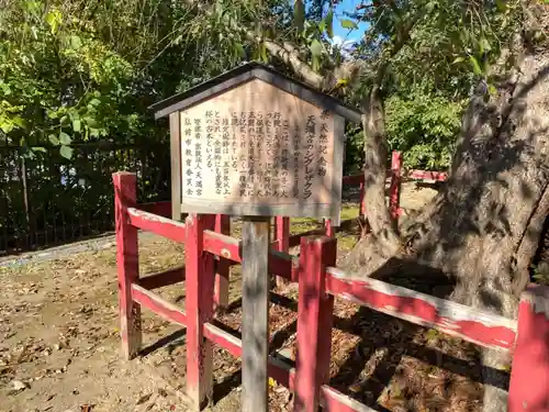 弘前天満宮の建物その他