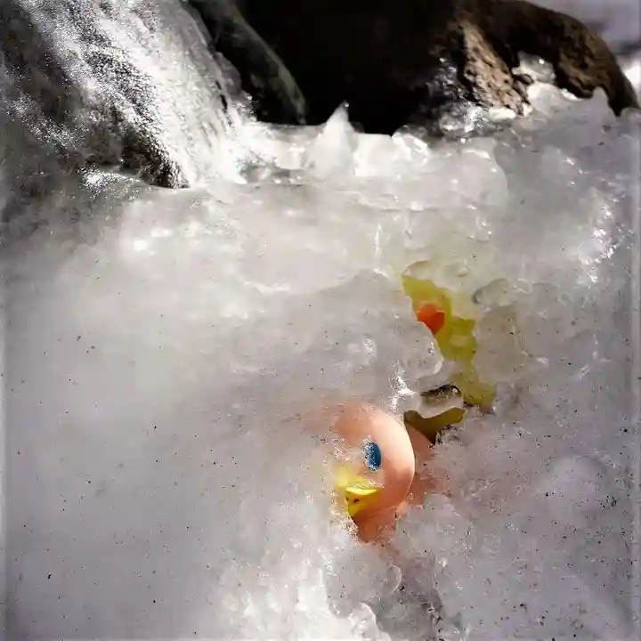 大鏑神社の手水舎