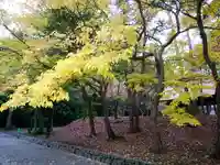 北海道神宮の自然