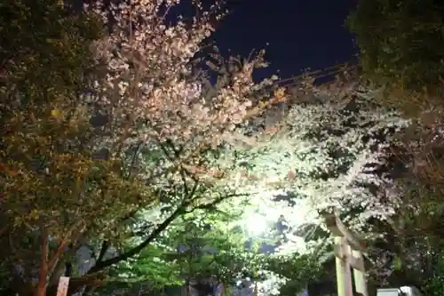 鷲尾愛宕神社の自然