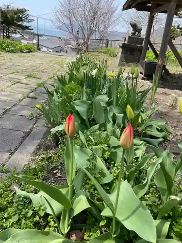 豊浦神社(北海道)