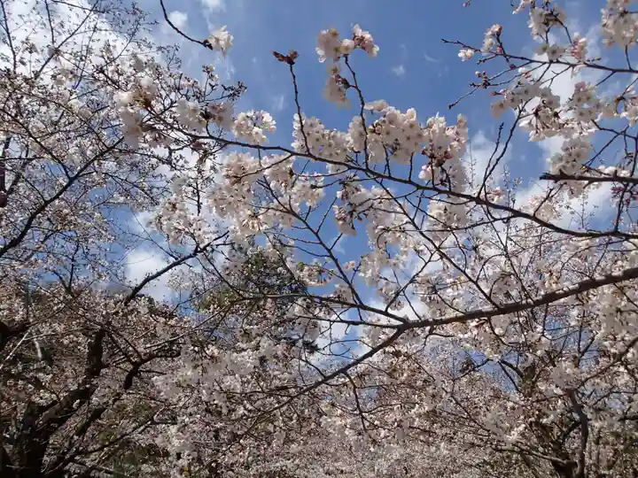 高麗神社の自然