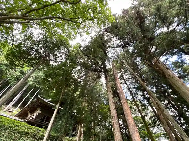子檀嶺神社(長野県)