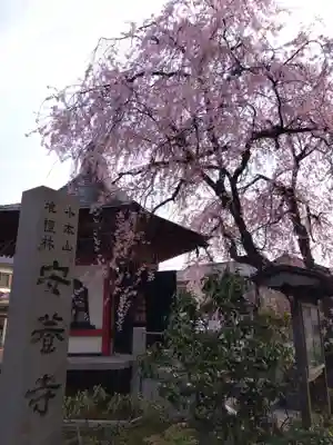 安養寺(福井県)
