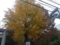 阿佐ヶ谷神明宮(東京都)