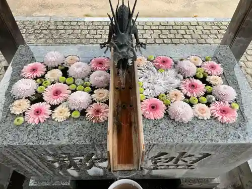 川越八幡宮(埼玉県)