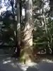 伊勢神宮外宮(豊受大神宮)(三重県)