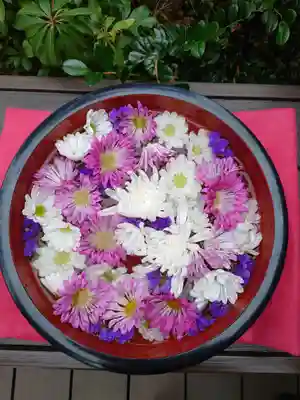 増上寺塔頭 三縁山 宝珠院の手水舎