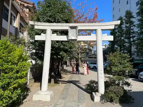 浅草神社の鳥居