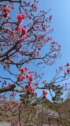  智積院(京都府)
