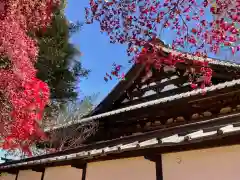 長圓寺の建物その他