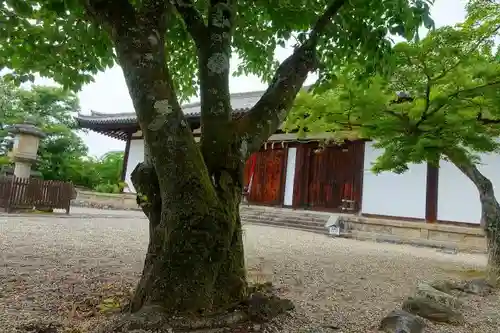 新薬師寺のその他建物