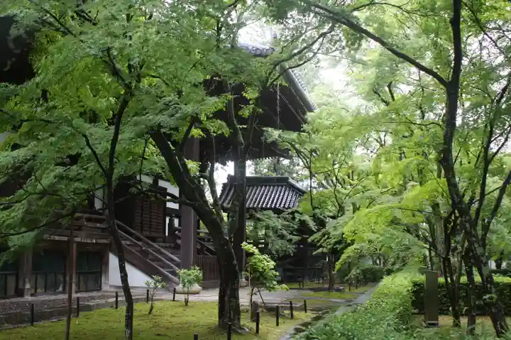 真正極楽寺(真如堂)(京都府)