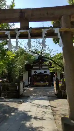 稲毛神社の鳥居