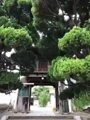 天寧寺の山門