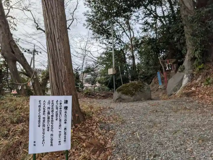 阿久津「田村神社」(郡山市阿久津町)旧社名:伊豆箱根三嶋三社(福島県)
