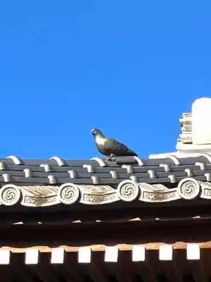 龍ケ崎八坂神社(茨城県)
