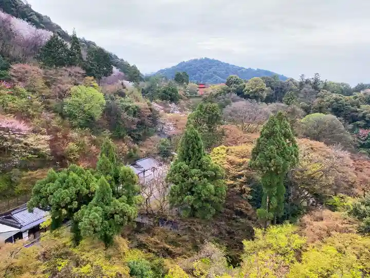 清水寺の自然