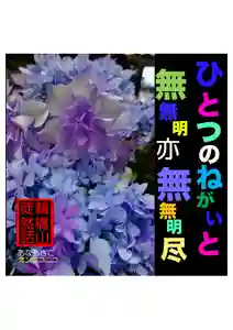 耕田院(山形県)(2023年06月17日(土) 02時11分11秒投稿)