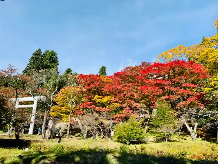 土津神社|こどもと出世の神さまの自然