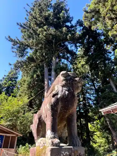 蒼柴神社の狛犬