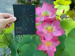 普門寺(切り絵御朱印発祥の寺)(愛知県)(2021年08月04日(水) 22時21分33秒投稿)