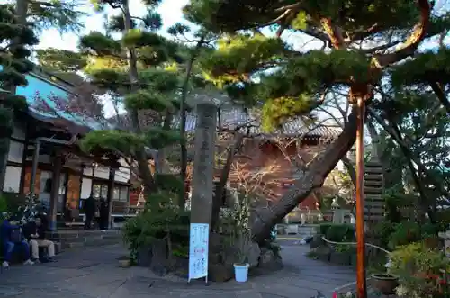 養玉院如来寺の自然