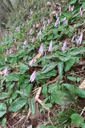 達身寺(兵庫県)