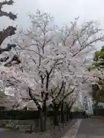 宝仙寺(東京都)