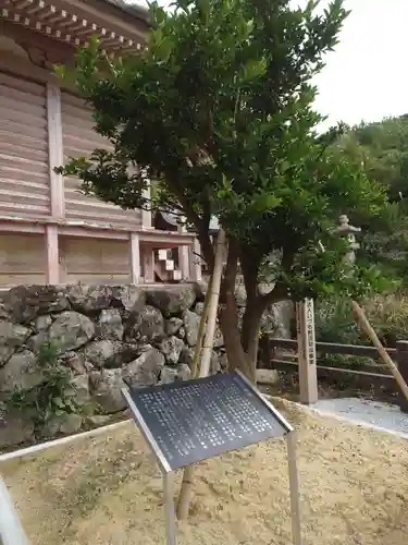 日御碕神社の自然