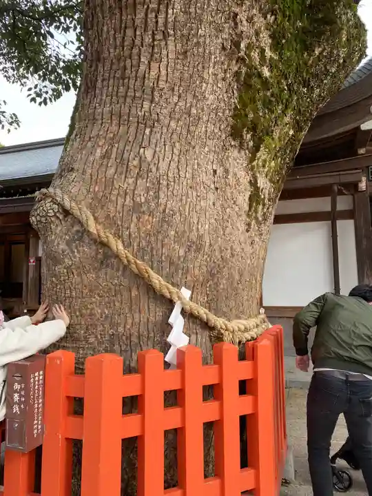宇佐神宮の自然