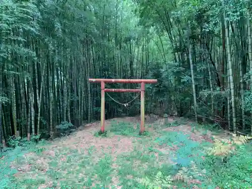 琴平神社の鳥居