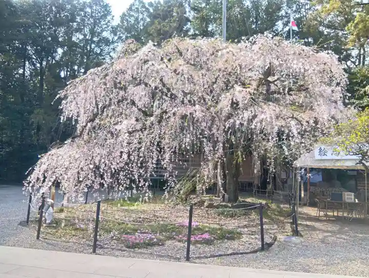 (長良)天神神社(岐阜県)