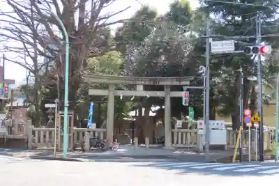 鳩森八幡神社の鳥居