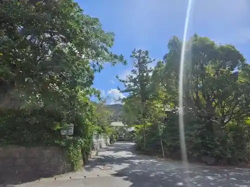 天津神明宮(千葉県)