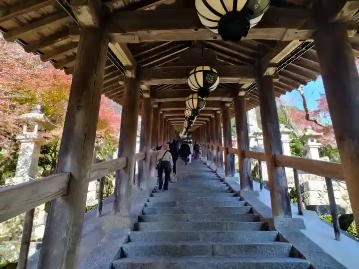 長谷寺(奈良県)