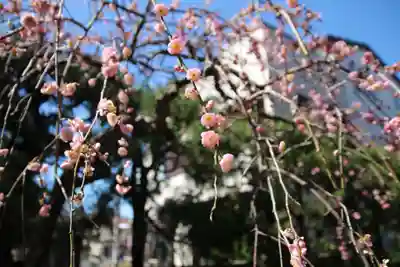 葛西神社(東京都)