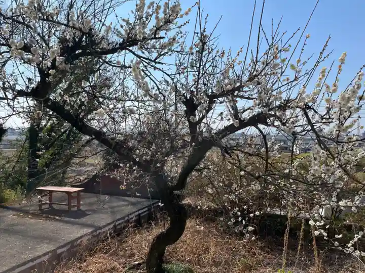 當選寺(埼玉県)