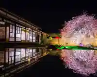 四季桜の寺 妙乗院のその他建物