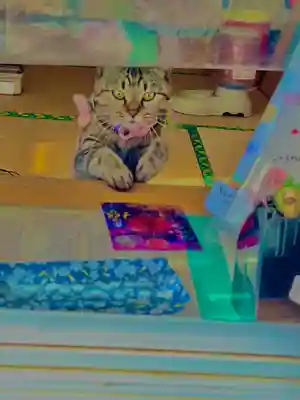 正一位 若草稲荷神社(宮城県)