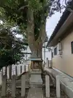 高良厄除神社(京都府)