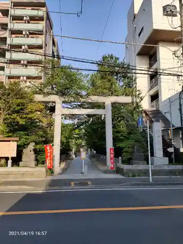 松戸神社の鳥居